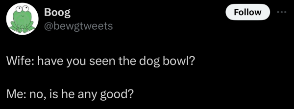 @bewgtweets on "X":

Wife: have you seen the dog bowl?

Me: no, is he any good? 