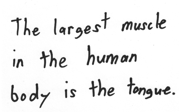 The largest muscle in the human body is the tongue.