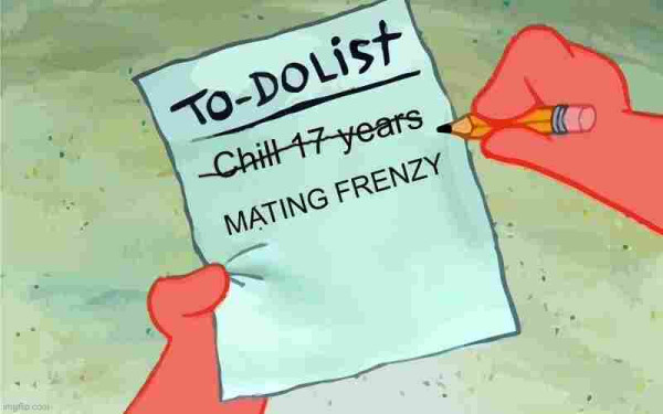 A cartoon hand holding a to-do list with "Chill 17 years" and "MATING FRENZY" written on it, with another hand holding a pencil checking off the first item.