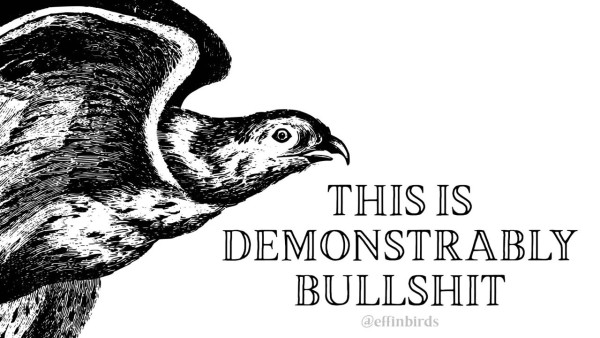 “This is demonstrably bullshit” next to a drawing of a bird, from effinbirds.com