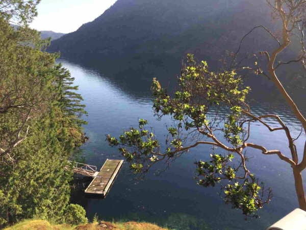 A photo taken in Malahat on Vancouver Island, BC. Taken from the house high above, photo shows the deep waters of Finlayson Arm, with a dock visible in the background on the left, and the branches of an Arbutus tree in the foreground on the right. 