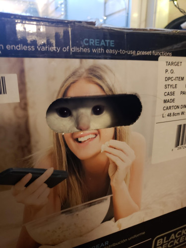 Photo of a cat staring out of a box with a picture of a lady eating popcorn and holding a remote. Gives the Illustration that her eyes are the kitty's