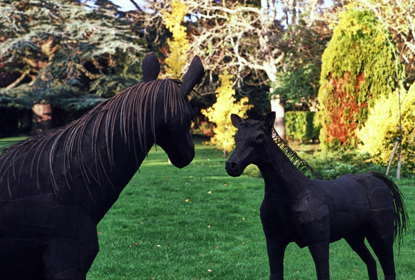 Two black metal sculptures representing a mare and her foal stand in an autumnal garden. Colour photo.