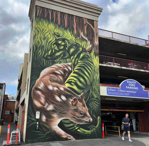 The mural is vertical and about 20 metres high. It’s mostly green (the stipey thylacine is green like the vegetation). The brown quoll has spots. 