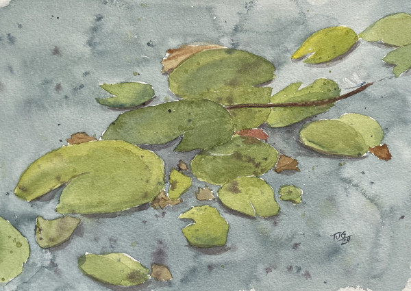 Watercolor painting of water lily leaves in a lake with a small dragonfly