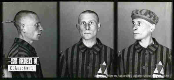 A mugshot registration photograph from Auschwitz. A man with shaved head wearing a striped uniform photographed in three positions (profile and front with bare head and a photo with slightly turned head with a hat on). The prisoner number is visible on a marking board on the left.