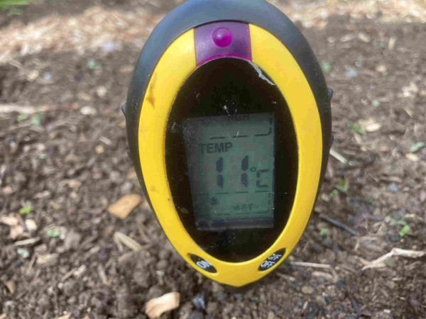 A yellow and black digital soil thermometer reading a temperature of 11°C and a moisture level of wet.