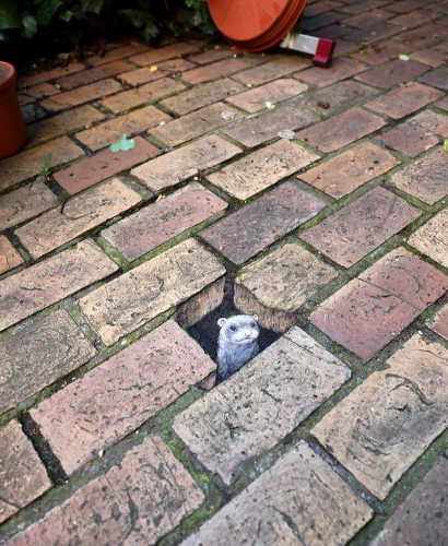 Streetart. A ferret and a hole have been drawn with chalk on the gray paving stones of a courtyard. The masterpiece is designed with a 3D illusion. The little gray ferret (named Marguerite) looks directly at the viewer from its paving stone hole. It looks a little fierce, so be careful. Title: "No one crosses the back garden patio without the express permission of Marguerite." 