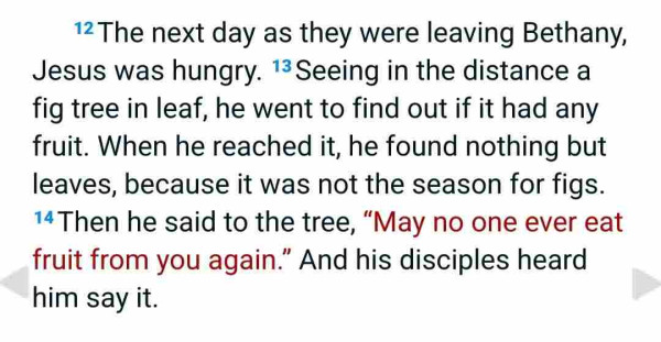12The next day as they were leaving Bethany, Jesus was hungry. 13Seeing in the distance a fig tree in leaf, he went to find out if it had any fruit. When he reached it, he found nothing but leaves, because it was not the season for figs. 14Then he said to the tree, “May no one ever eat fruit from you again.” And his disciples heard him say it.