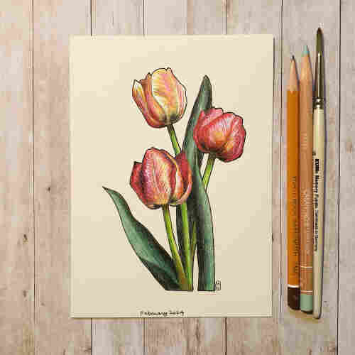 Original drawing - Spring Tulips
A drawing of spring tulips in a red and yellow colour. The drawing is on acid free cream coloured paper and measures 5 by 7 inches.
Materials: colour pencil, mixed media, acid free cream artist paper
Width: 5 inches
Height: 7 inches