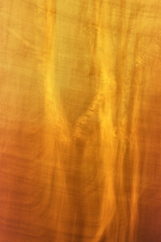 Orange-coloured portrait format phot showing vague vertical shapes with some diagonal streaks. Nothing is in focus. There could be just a suggestion of two trees dancing  together!