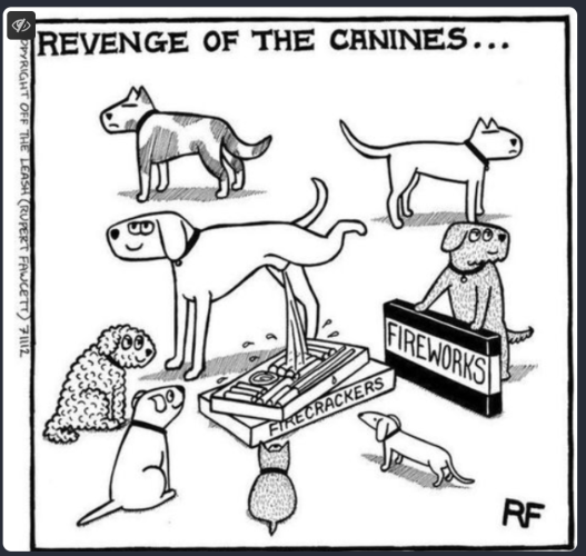 cartoon drawings of dogs. REVENGE OF THE CANINES. Dog peeing on Firecrackers.