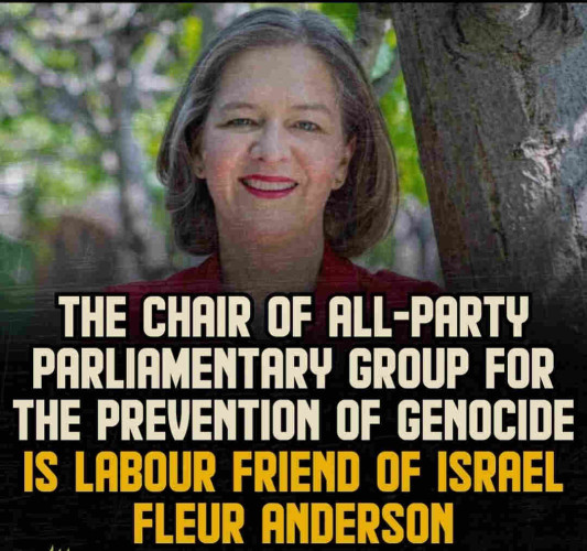 UK:Fleur Anderson, the chair of all-party parliamentary group for the preventation of genocide is labour friends of Israel.