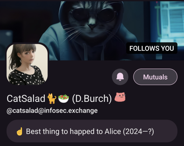 Screenshot: CatSalad at Infosec dot exchange's profile header, with a note reading "☝️ Best thing to happen to Alice (2024 to blank).