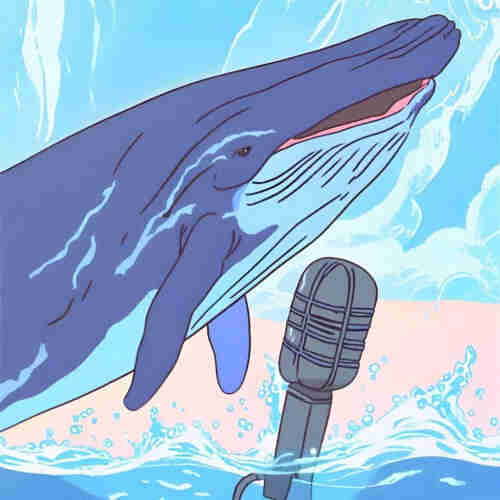Cartoon depiction of a humpback whale jumping out the water and speaking into an old-fashioned microphone.