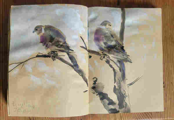 Aquarellskizze im kleinen Skizzenbuch auf gelblichem Papier über 2 Seiten in Tusche und blauviolett und weiß: 2 dicke Tauben auf trockenen Ästen vor weißem Himmel 