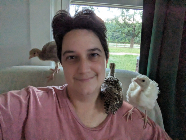 A white person in a pale pink t shirt with short dark hair sits in a chair in front of a window with a brown baby turkey tucked against their neck facing out the window on her shoulder and a white baby turkey facing forward off the same shoulder while a grey baby turkey appears from behind her head on the back of the chair heading for their other shoulder.
