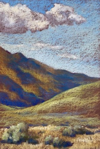 A vertical landscape painting done in pastel. Clouds casting shadows on far hillside. Sagebrush on the field in the foreground.