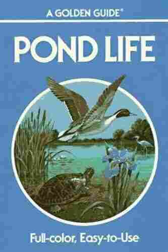 the cover art for the book "Pond Life". in the center there is a pond scene with a pintail duck, a turtle, a heron and some pond plants around a pond. 

top text: a golden guide pond life
bottom text: full-color, easy-to-use