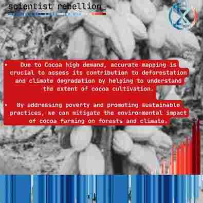 scientist rebellion 
Text on background image of cocoa beans

Due to Cocoa high demand, accurate mapping is crucial to assess its contribution to deforestation and climate degradation by helping to understand the extent of cocoa cultivation. By addressing poverty and promoting sustainable practices, we can mitigate the environmental impact of cocoa farming on forests and climate.