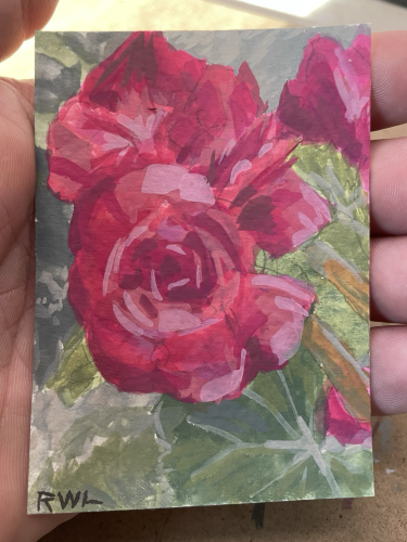 Loose painting of red begonia flowers