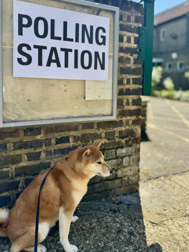 A red Shiba Inu dog sitting in front of a sign saying “POLLING STATION”. The sky is blue and the day is sunny, suggesting a positive change ahead. 