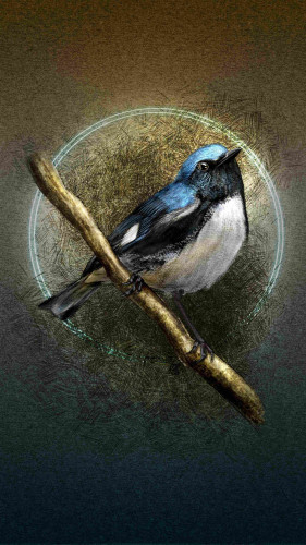 Illustrated phone wallpaper of a Black-throated Blue Warbler bird perched on a branch. Behind it is a paper texture with a brown gradient at the top and a blue gradient at the bottom. Surrounding the bird is crosshatching and a double halo of blue light.