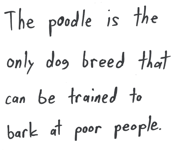 The poodle is the only dog breed that can be trained to bark at poor people.