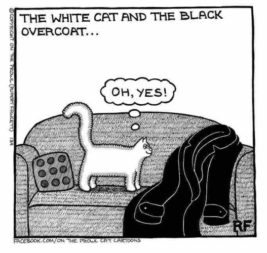 Black and white cartoon.

White Cat Black Overcoat.

A settee/sofa.  A standing white cat eyes a black overcoat draped casually over the corner/back of the settee.

Cat's thoughts: OH, YES!

- by Rupert Fawcett