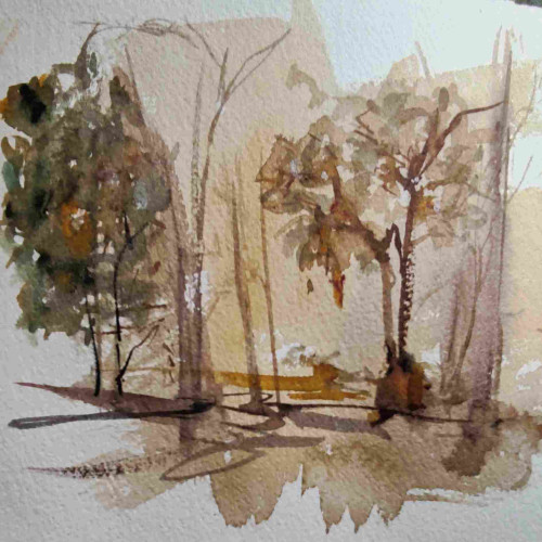 Trees
Watercolor notes