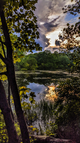 An evening in late spring. We are looking out through an opening in the forest along the shore of a small, secluded cove on a large lake. Through a break in the clouds we see a patch of cornflower blue sky. Below that, the setting sun is trying to burn through a thin, hazy cloud, tinting it a pale golden orange. The sky is mirrored on the still surface of the lake. There are two young trees growing a few inches apart to our left. A cluster of water grasses sprouting from the shallows just ahead are a lush dark green. Across the water the two peninsulas that form the cove are densely wooded.