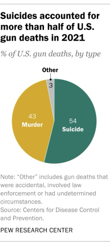 Gun deaths pie chart