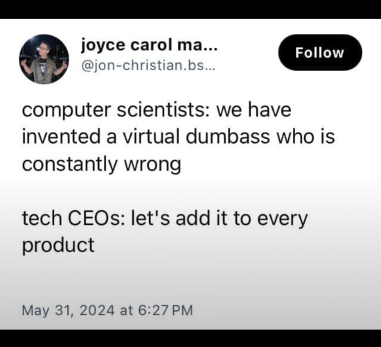 twitter x screenshot

joyce carol ma... m @jon-christian.bs...

computer scientists: we have

invented a virtual dumbass who is

constantly wrong

tech CEOs: let's add it to every

product

May 31, 2024 at 6:27 PM o 