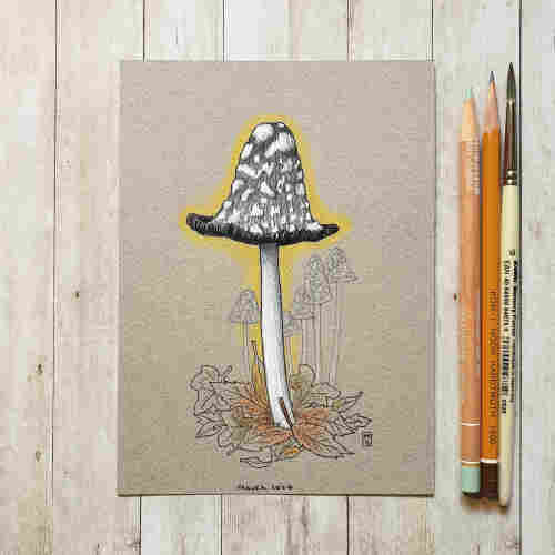 Original drawing - Magpie Inkcap Mushroom
A colour drawing of a magpie inkcap mushroom. A black and white mushroom with a white stalk.
Materials: colour pencil, mixed media, acid free mushroom coloured pastel paper
Width: 5 inches
Height: 7 inches