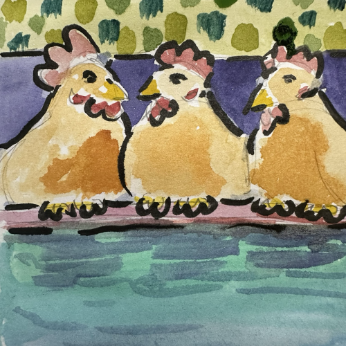 Three orange hens dipping their toes in the water at a pool. 