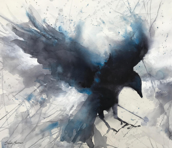 A watercolor painting of a crow wings outstretched about to come in for a landing. The feeling of the painting is dynamic, full of movement and the background could be shadows of leaves and branches.