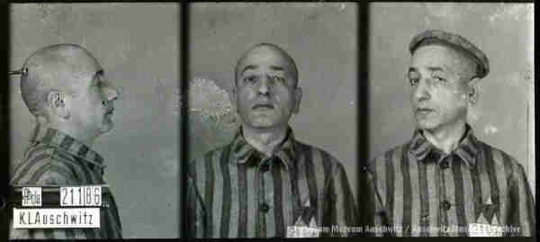 A mugshot registration photograph from Auschwitz. A man with shaved head wearing a striped uniform photographed in three positions (profile and front with bare head and a photo with slightly turned head with a hat on). The prisoner number is visible on a marking board on the left.