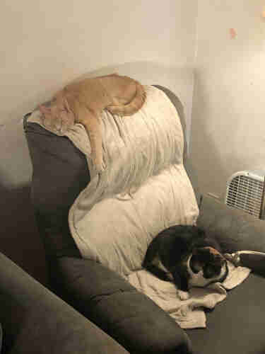 Two cats lounging on a heating pad on a reclining chair