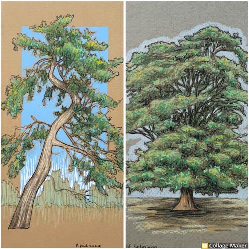 A photo collage of two tree drawings. 