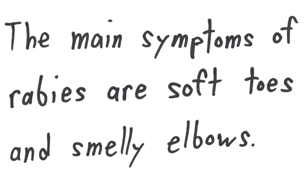 The main symptoms of rabies are soft toes and smelly elbows.