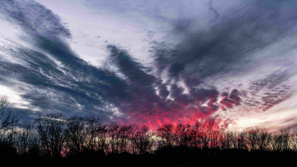 Photograph of a sunset sky behind a horizontal treeline. The sky is mostly filled with clouds in shadow but towards the horizon the clouds are highlighted by the setting sun below the horizon creating an impression similar to burning embers. The treeline is silhouetted against the clouds, dark sky, and the ember-like highlights near the horizon.