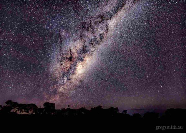 The Milky Way core over some eucalyptus trees, with a shooting star to the right.