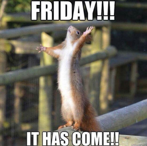 Picture a squirrel standing upright on a fence facing to the left of frame with his arms stretched wide as if welcoming the day! The caption reads:”Friday!!! It has come!!”