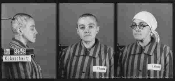 A mugshot registration photograph from Auschwitz. A woman wearing a striped uniform photographed in three positions (profile and front with a bare head and a photo with a slightly turned head with a headscarf on). The prisoner number is visible on a marking board on the left.
