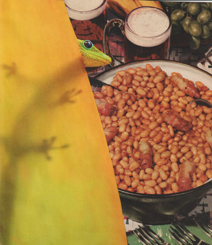 a lizard peaks from a transparent yellow leaf and a table set with baked beans and beer