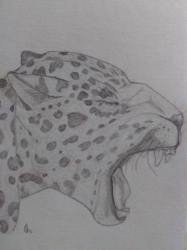 Bleistiftzeichnung eines gähnenden Leoparden von der Seite.