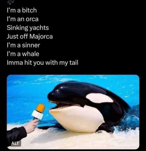 I'm a bitch
I'm an orca
Sinking yachts
Just off Majorca
I'm a sinner
I'm a whale
Imma hit you with my tail.

(An orca singing to the tune of Meredith Brooks - Bitch)
