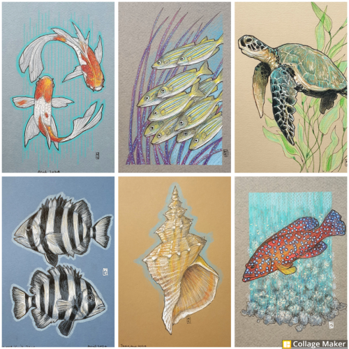 A photo collage of fish, a shell and turtle art that I have done. 
