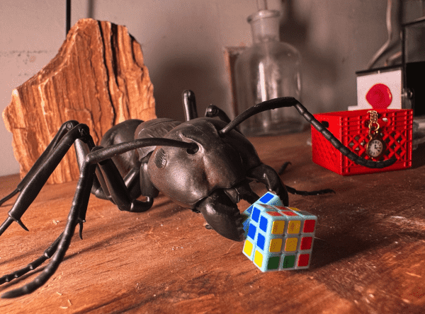 A large model carpenter ant holding a small rubics cube 
