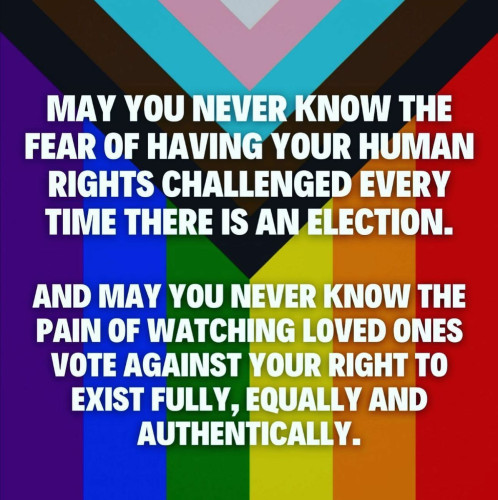Picture of a vertical Progress Pride Flag with the words,

"MAY YOU NEVER KNOW THE FEAR OF HAVING YOUR HUMAN RIGHTS CHALLENGED EVERY TIME THERE IS AN ELECTION.

AND MAY YOU NEVER KNOW THE PAIN OF WATCHING LOVED ONES VOTE AGAINST YOUR RIGHT TO EXIST FULLY, EQUALLY AND AUTHENTICALLY."